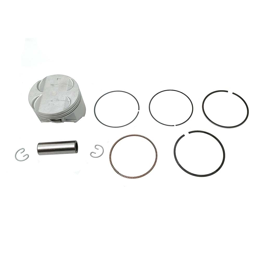DR350 Piston Segman 0.25 79.25 20m Jcc Tw.