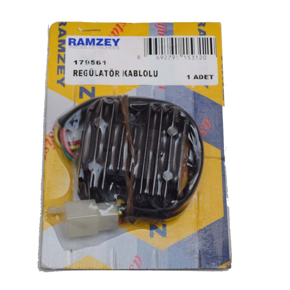Regulator 4 (Kablolu Disi Fis) Rmz