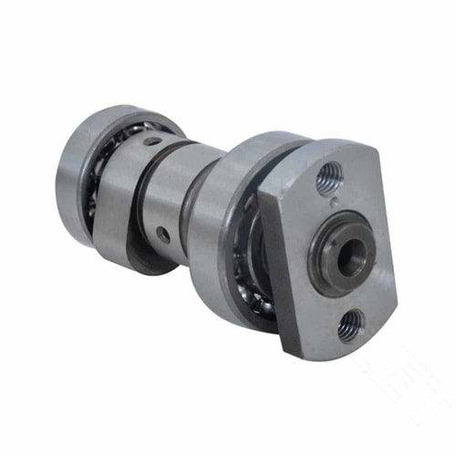 JOYRiDE200 Eksantrik MiLi (26.50 Kam) OEM