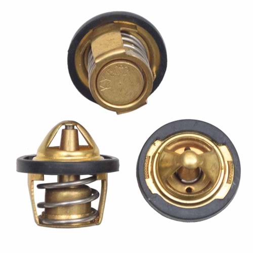Termostat (Yayli Civali Isi Musuru)(50c)